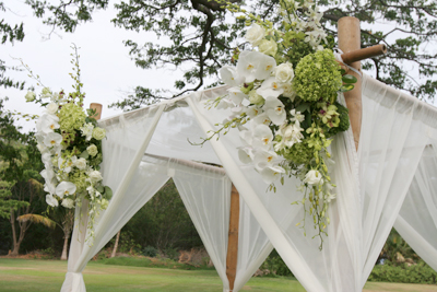 Maui wedding canopy in Olowalu